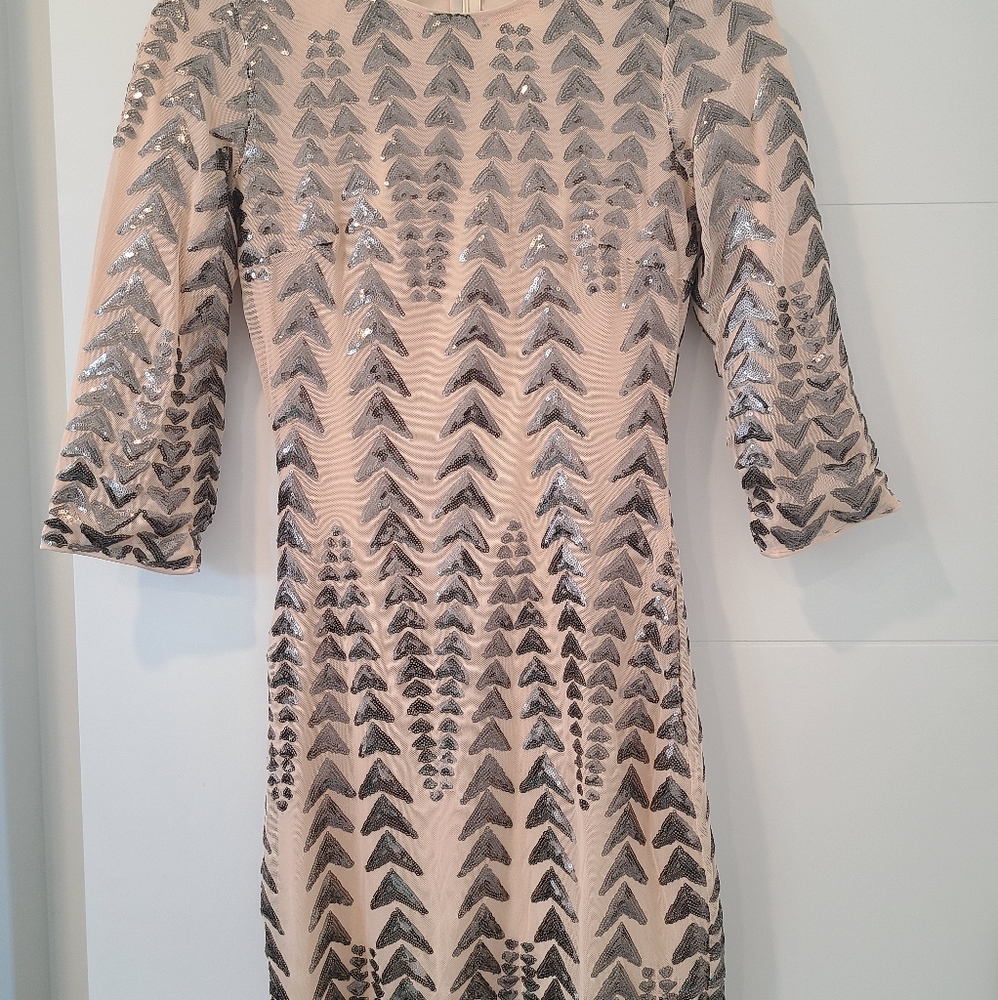 Shine On Me Nude and Gunmetal Sequin Bodycon Dress